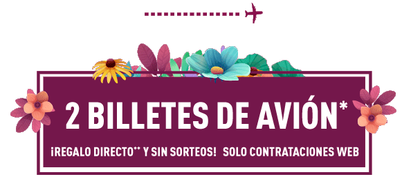 2 billetes de avión*